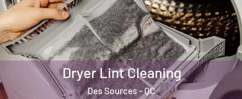  Dryer Lint Cleaning Des Sources - QC