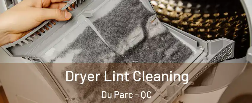  Dryer Lint Cleaning Du Parc - QC