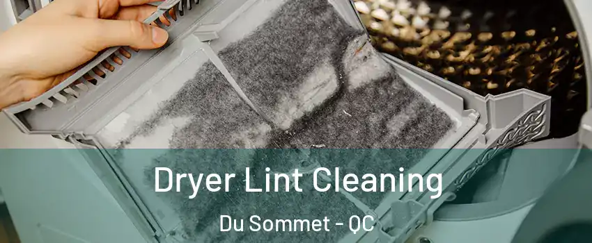  Dryer Lint Cleaning Du Sommet - QC