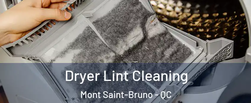  Dryer Lint Cleaning Mont Saint-Bruno - QC