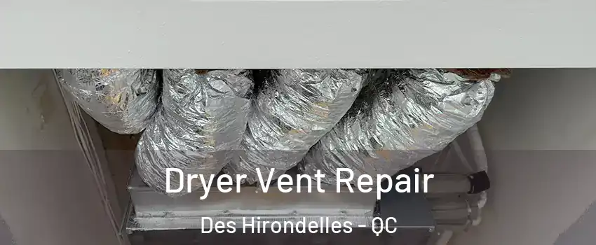  Dryer Vent Repair Des Hirondelles - QC