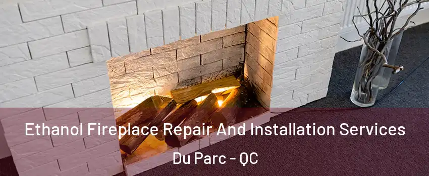  Ethanol Fireplace Repair And Installation Services Du Parc - QC