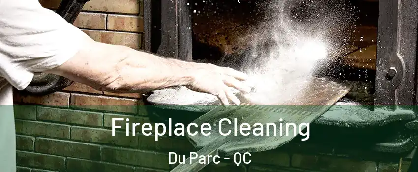  Fireplace Cleaning Du Parc - QC