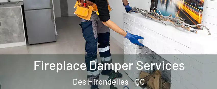  Fireplace Damper Services Des Hirondelles - QC