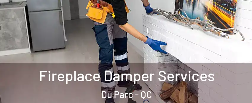  Fireplace Damper Services Du Parc - QC