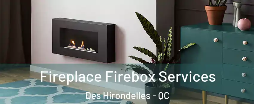  Fireplace Firebox Services Des Hirondelles - QC