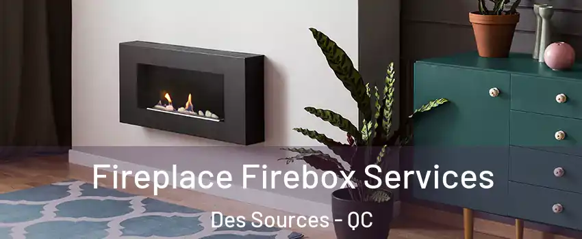  Fireplace Firebox Services Des Sources - QC