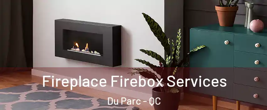  Fireplace Firebox Services Du Parc - QC