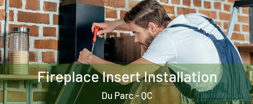  Fireplace Insert Installation Du Parc - QC