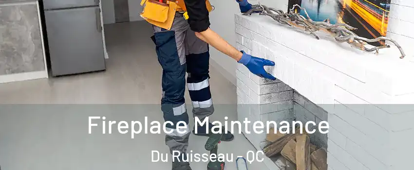  Fireplace Maintenance Du Ruisseau - QC