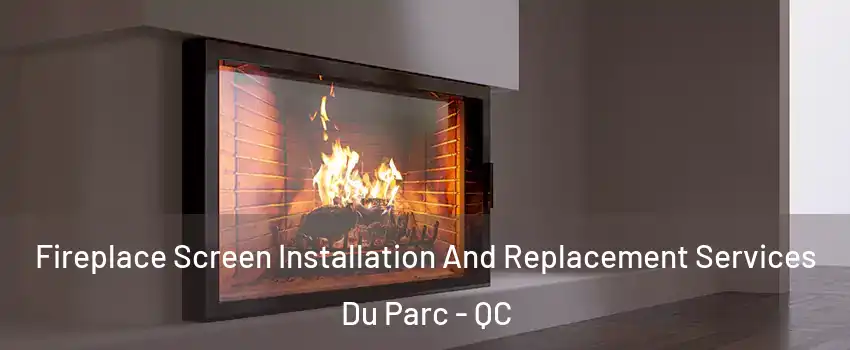  Fireplace Screen Installation And Replacement Services Du Parc - QC