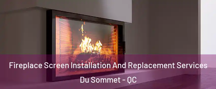  Fireplace Screen Installation And Replacement Services Du Sommet - QC