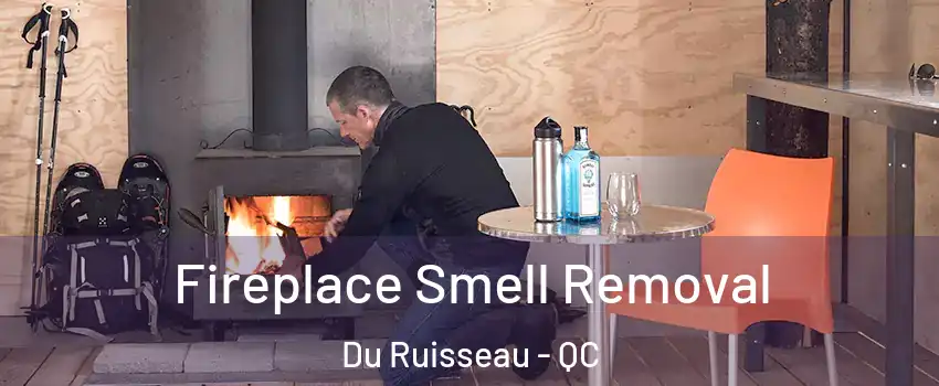  Fireplace Smell Removal Du Ruisseau - QC