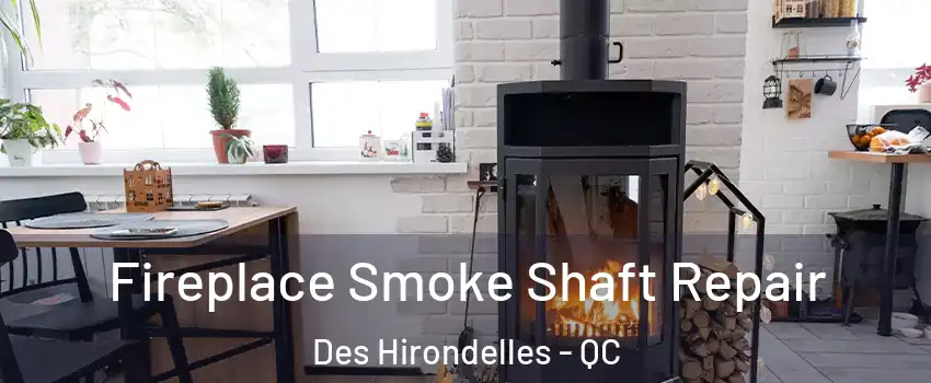  Fireplace Smoke Shaft Repair Des Hirondelles - QC
