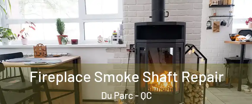  Fireplace Smoke Shaft Repair Du Parc - QC
