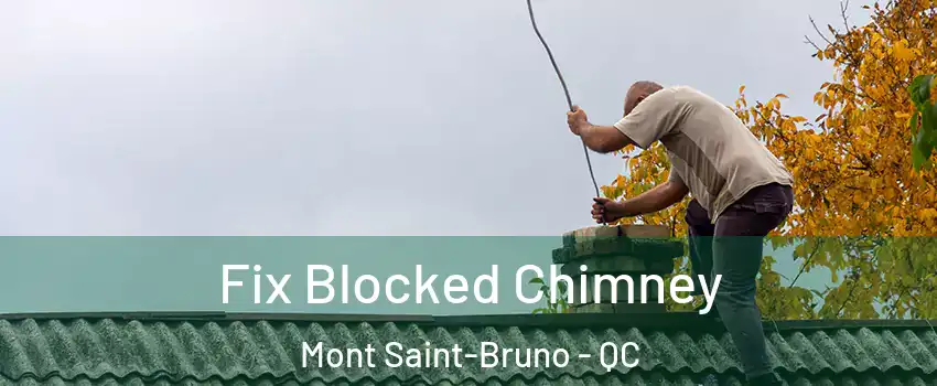  Fix Blocked Chimney Mont Saint-Bruno - QC