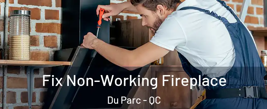  Fix Non-Working Fireplace Du Parc - QC