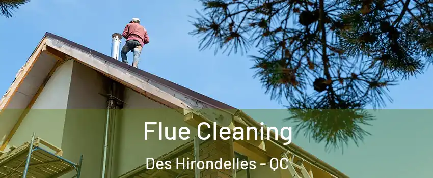  Flue Cleaning Des Hirondelles - QC