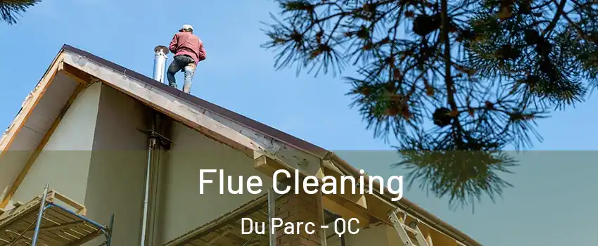  Flue Cleaning Du Parc - QC
