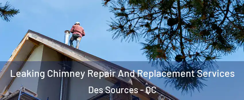  Leaking Chimney Repair And Replacement Services Des Sources - QC