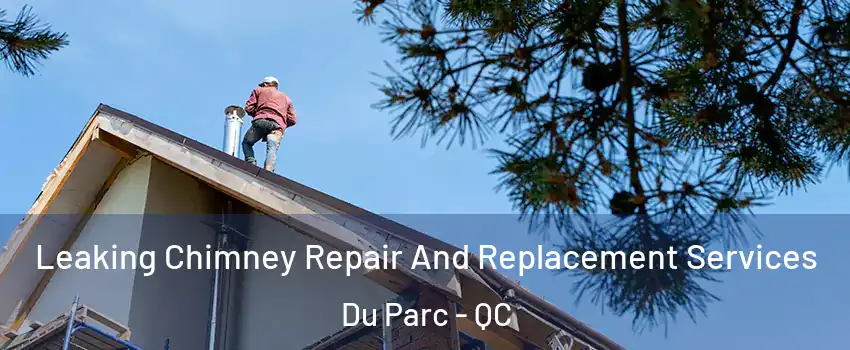  Leaking Chimney Repair And Replacement Services Du Parc - QC