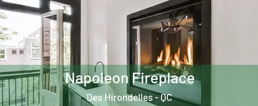  Napoleon Fireplace Des Hirondelles - QC
