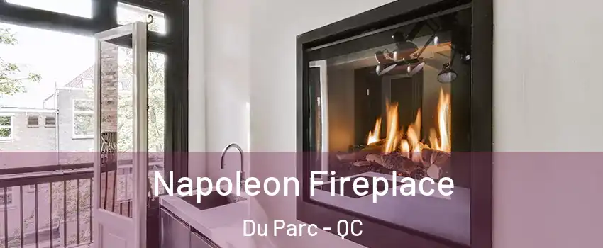  Napoleon Fireplace Du Parc - QC