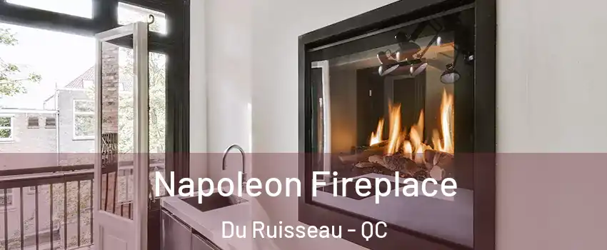  Napoleon Fireplace Du Ruisseau - QC