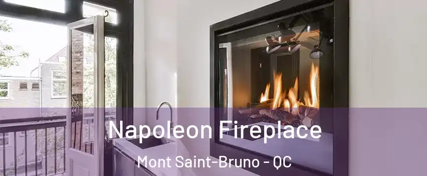  Napoleon Fireplace Mont Saint-Bruno - QC