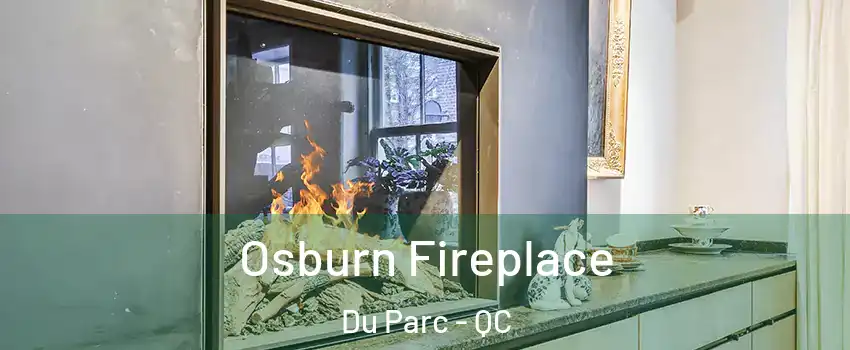  Osburn Fireplace Du Parc - QC