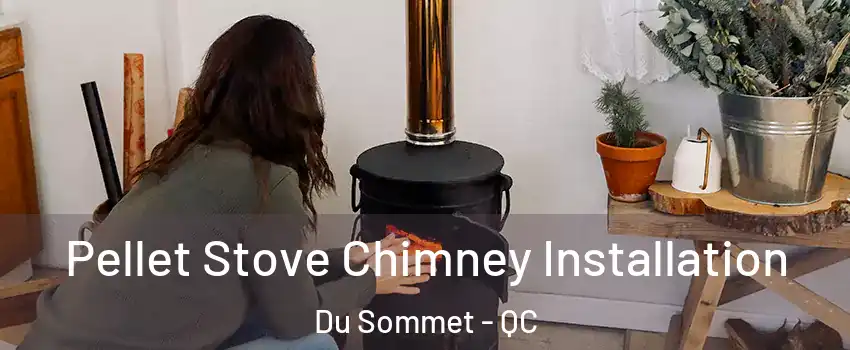  Pellet Stove Chimney Installation Du Sommet - QC